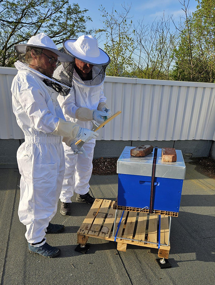 Cours d'apiculture chez SLAT